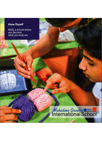 MGIS Brochure – French